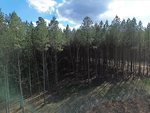 3rd image of 0 Mullins Point #1255