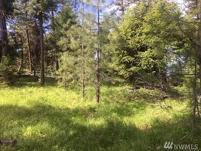 1st image of 19 Morgan Mountain Trl