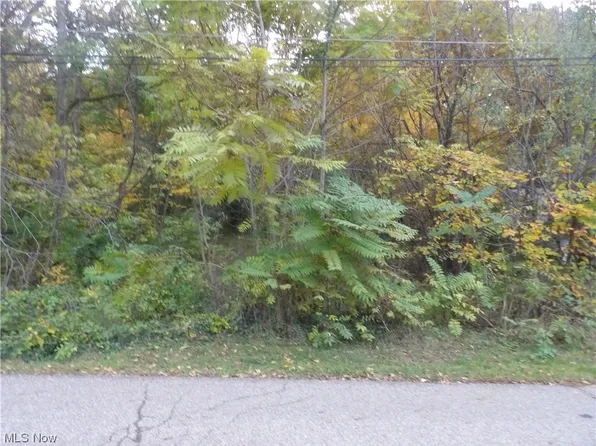 Faith Ave, Akron, OH 44319