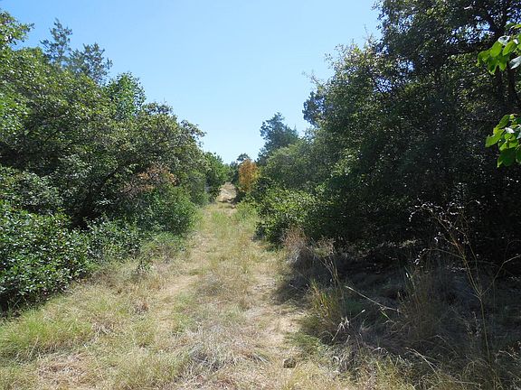 4th image of E Loop 254
