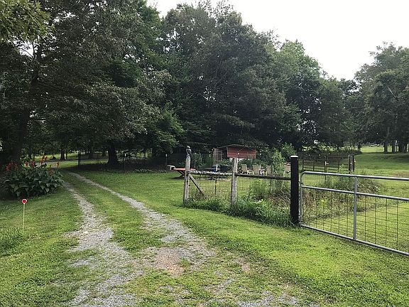 driveaway with chicken coop