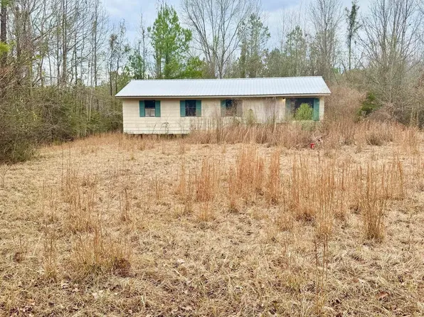 137 Spruce Rd, Butler, AL 36904