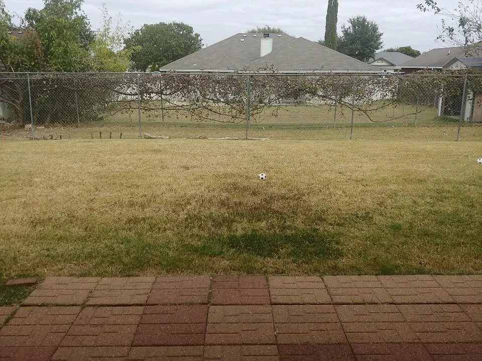 4 bed, 1960 sqft, $1,700 — Photo 3