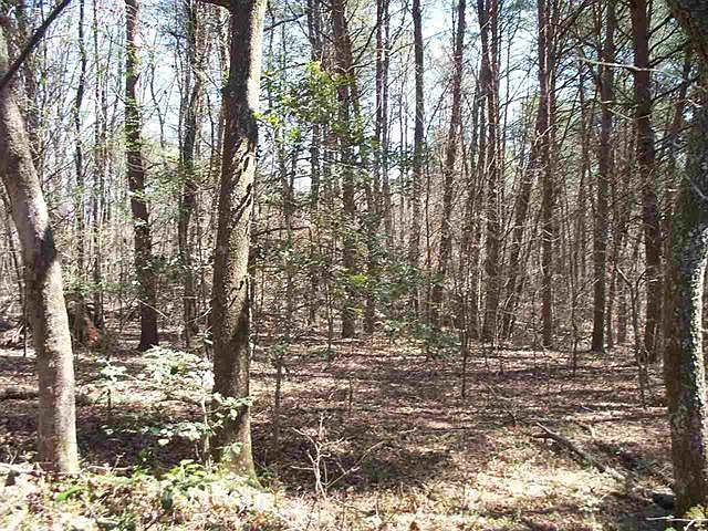 2nd image of Ewing Road