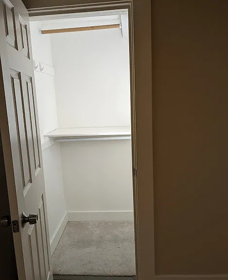 Downstairs closet with under the stairs storage.