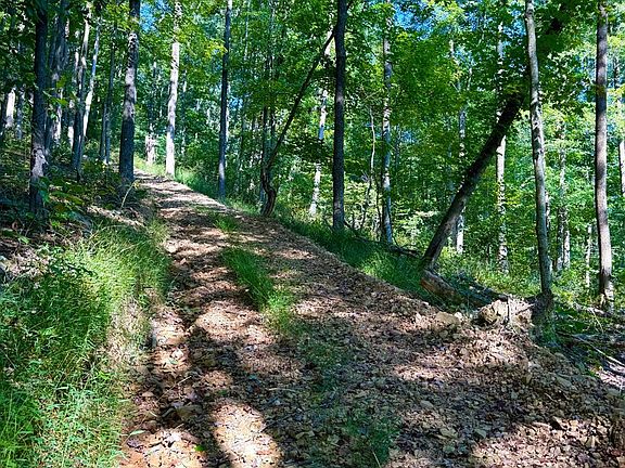 2nd image of 514 Dog Hollow Rd
