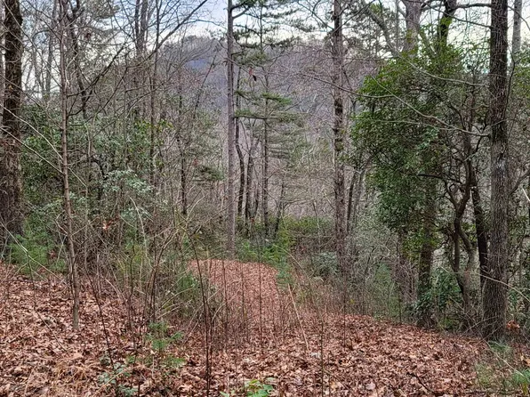 0 High Holly #1HH, Tiger, GA 30576