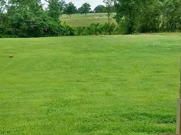 View from covered back porch.