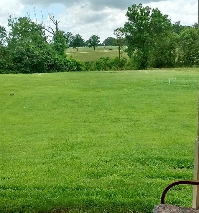 View from covered back porch.