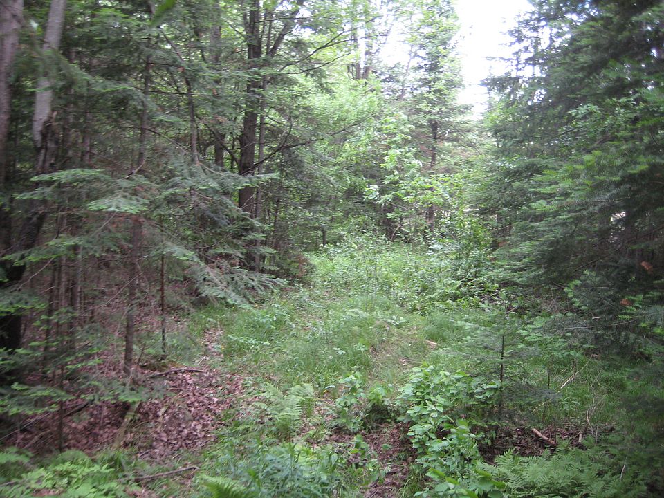 1st image of 40 Acres Hwy 64 And Hwy #107