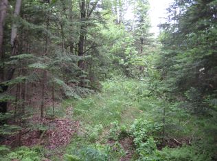 40 Acres Hwy 64 And Hwy #107, Merrill, WI 54452