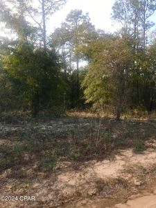 0 Dunford Cir, Chipley, FL, 32428