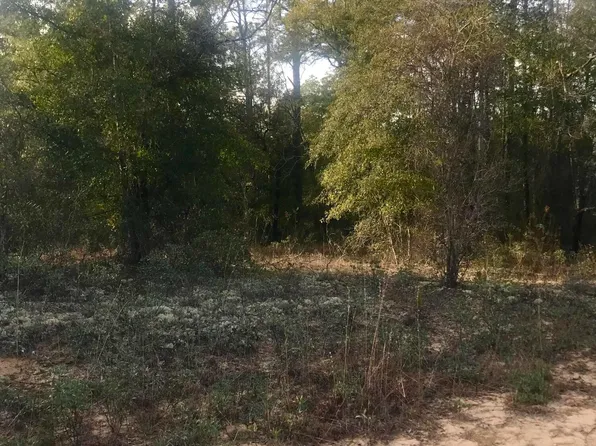 0 Dunford Cir Lot 13, Chipley, FL 32428