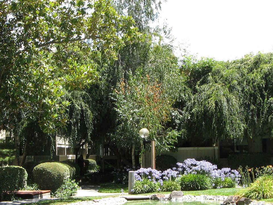 View from across the lake