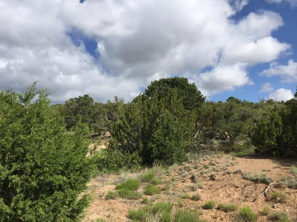 84 Rain Dance Rd, Sandia Park, NM 87047