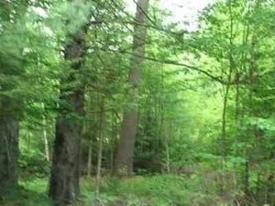 ASHUELOT Drive, Washington, NH, 03280
