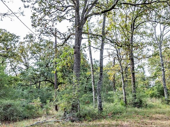 3rd image of 6238 County Road 317