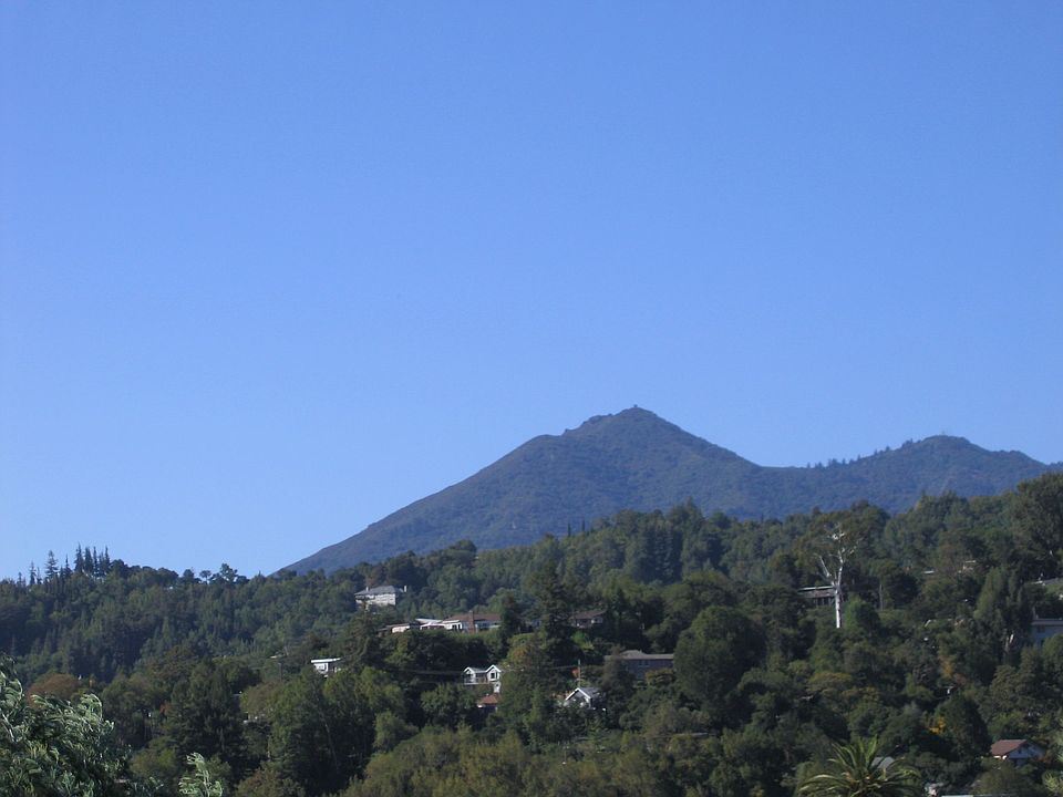 Stunning views of Mt. Tam