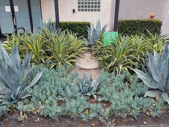 4th image of 3932 Laurel Canyon Blvd #107S
