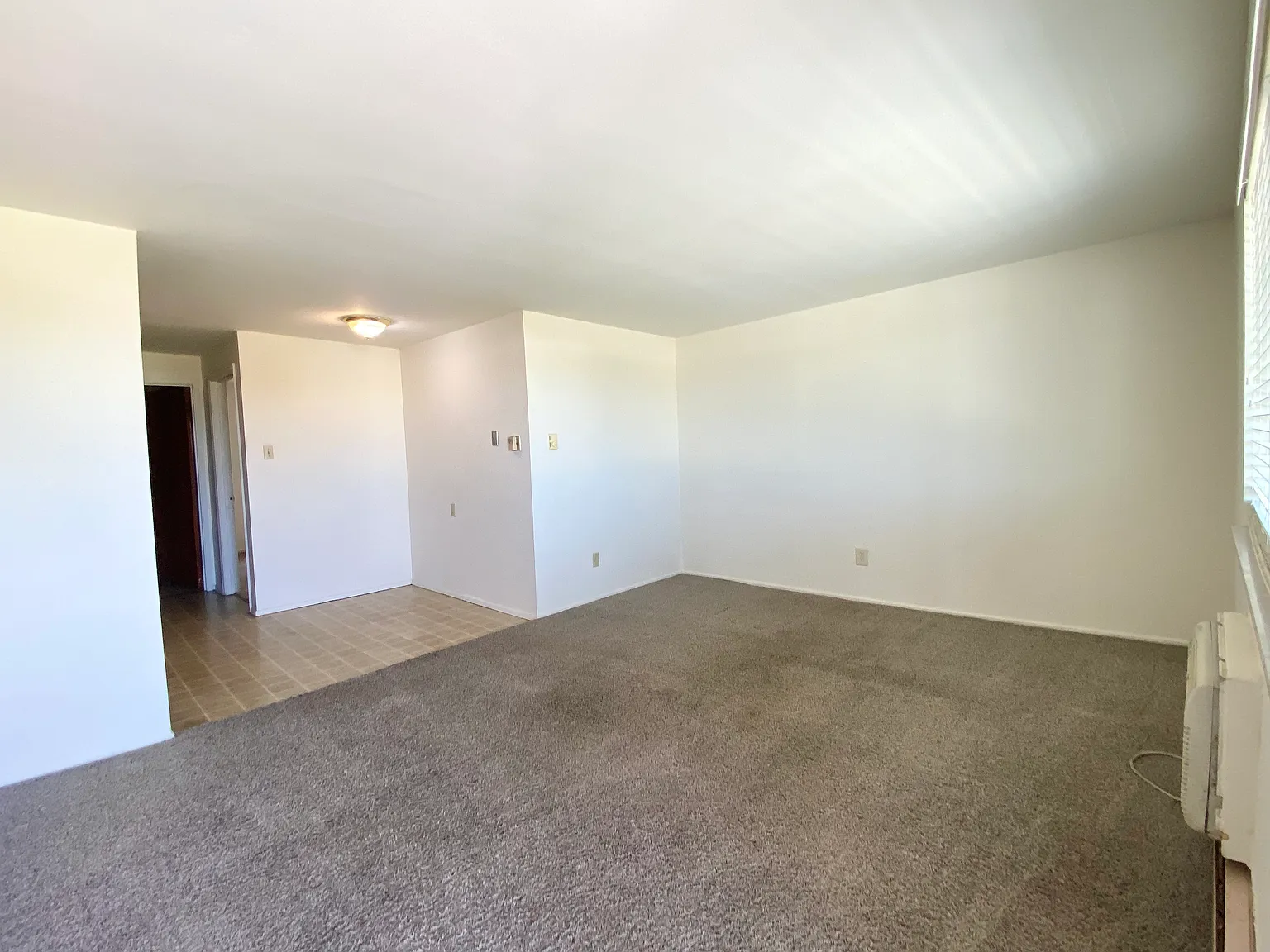 1 bed, 800 sqft, $700 — Photo 3