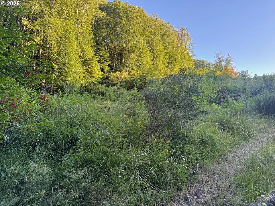 2nd image of Pittsburg Rd