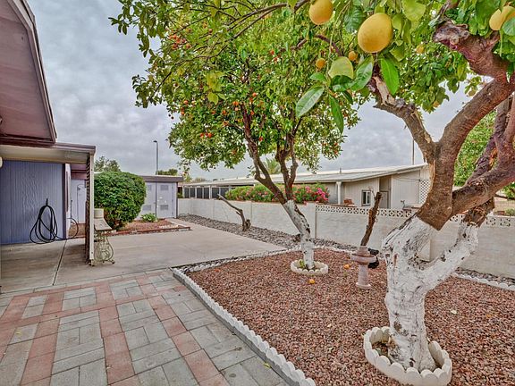 Fruit Trees In the Back!