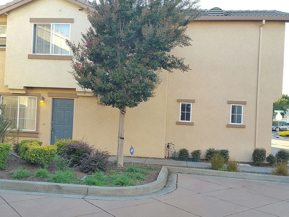 2nd image of 1002 Lupine #Atlas