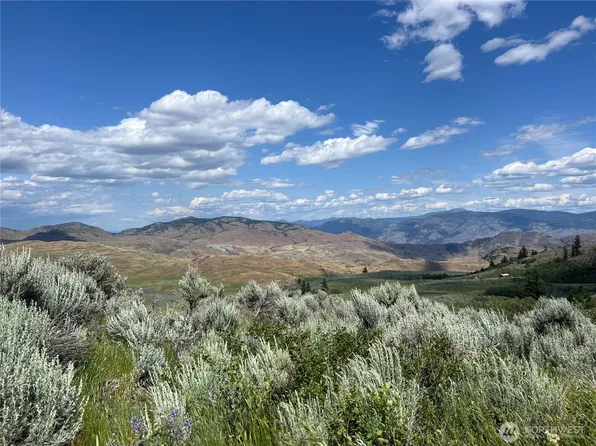 0 TBD Ellemeham Min X Road, Oroville, WA 98844