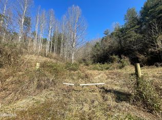 Rush Branch Rd, Pigeon Forge, TN 37863