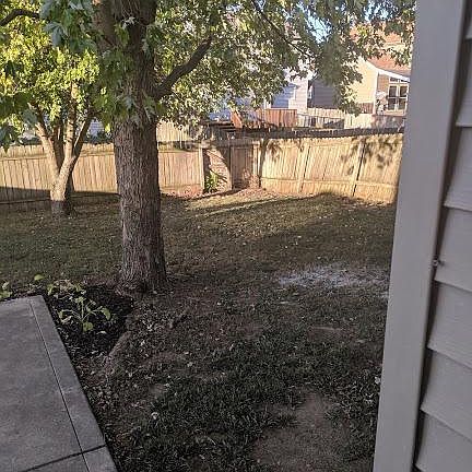 Shaded, private and fenced yard.