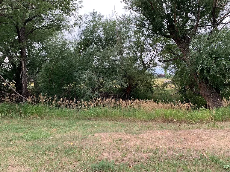 425B N Highway 287 — Photo 16