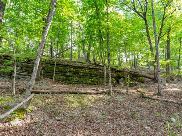 000 El Monte Road Lot 2, Branson, MO 65616