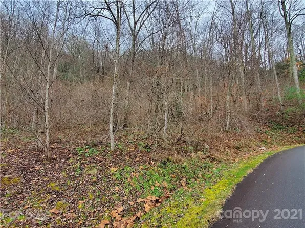 76 View Ridge Pkwy, Leicester, NC 28748