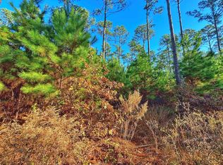 Acr 157, Palestine, TX 75801