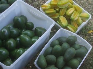 94-6551 Makaleka Rd, Kau, HI 96772