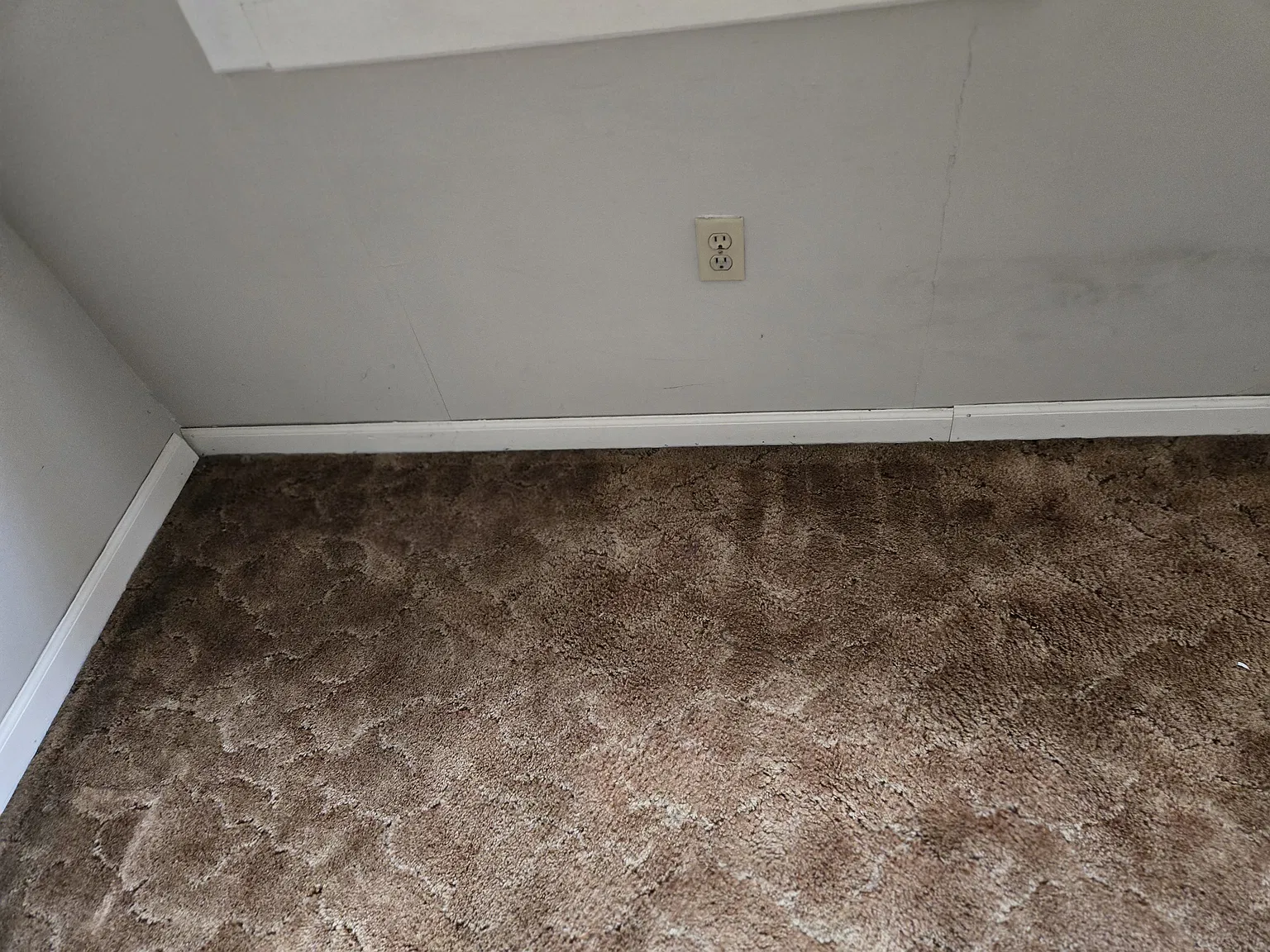 2 bed, 1000 sqft, $1,100 — Photo 4