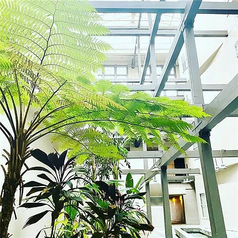 1 bed, 1.0 bath, 480 sqft, $1,550 — Photo 2