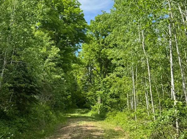 75134 West Rd, Butternut, WI 54514