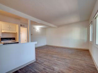 Olive Tree, Tucson, AZ 85711