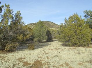 575 E Tall Tree St, Williams, AZ 86046