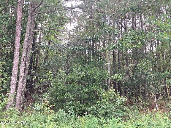 2nd image of LOT 33 Pine Crest Rd