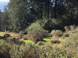 68 Antler Ct, Whitethorn, CA 95589