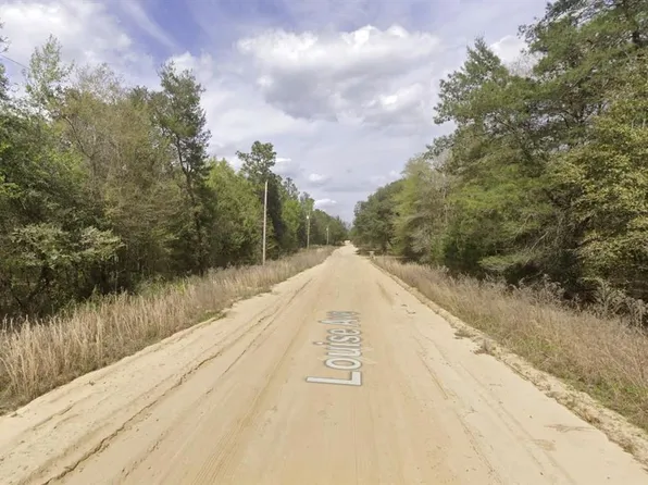 Louise Ave Lot 13, Interlachen, FL 32148