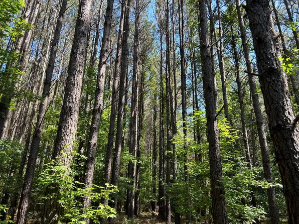 Ooo Hwy #15, North Other, MS 39375