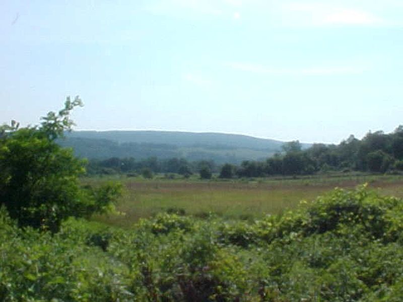 2nd image of 116 HILL Road