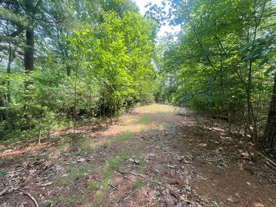 29 Tessentee Woods Rd, Franklin, NC, 28734