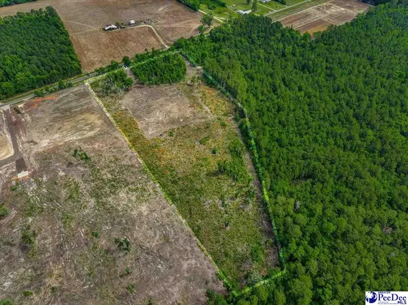 Willard Henry Rd, Florence, SC 29505