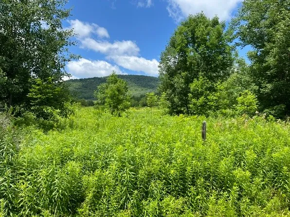 Narrow Notch Rd Lot 22, Hobart, NY 13788