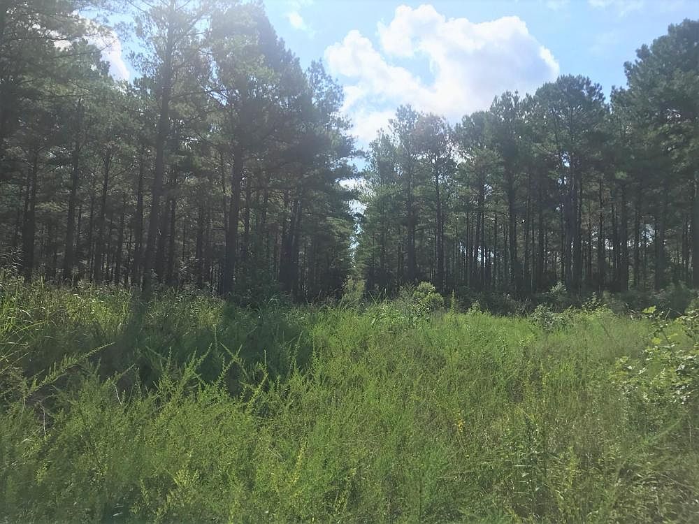 0 Highway 46, Mantee, MS 39751 Zillow