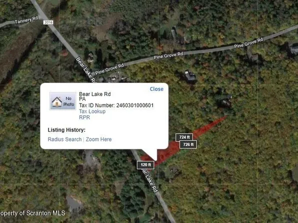 Bear Lake Rd, Thornhurst, PA 18424